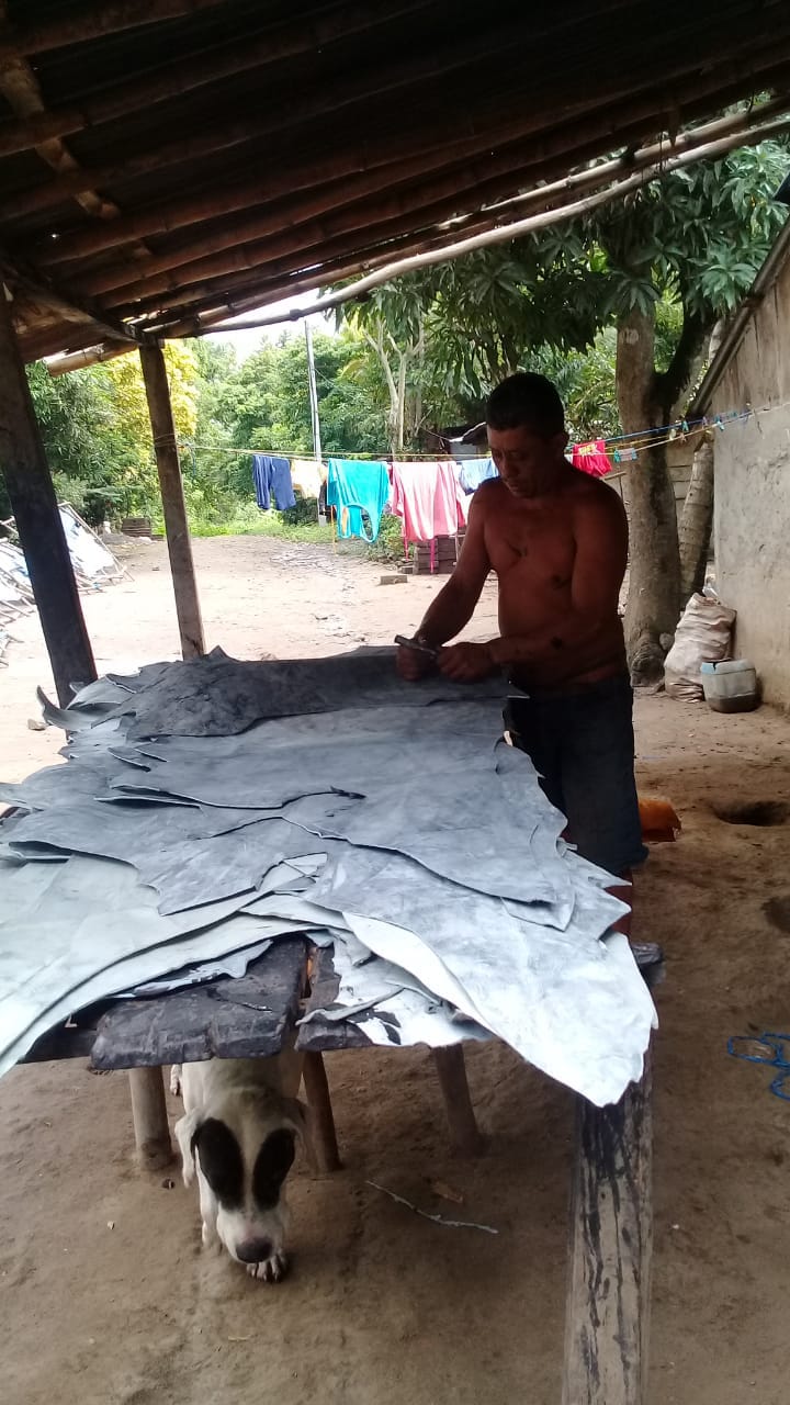 Cuero2